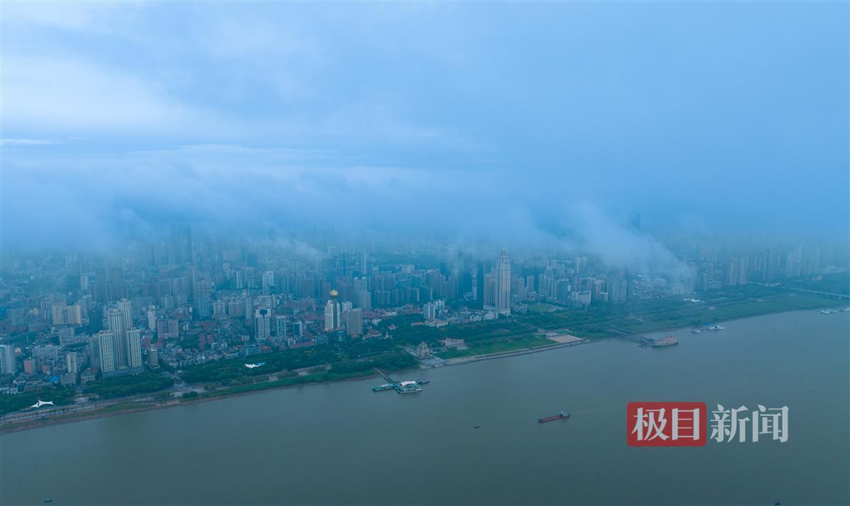 利莱国际网上